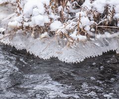 17012021-17012021-329A6612 ©21-01-034+SNÖ++18 IS 011-020