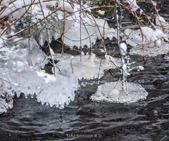 17012021-17012021-329A6620 ©21-01-034+SNÖ++18 IS 013-020
