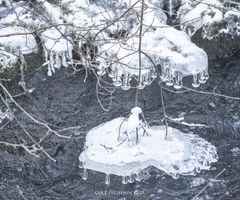18012021-18012021-329A6718 ©21-01-034+SNÖ++18 IS 018-020